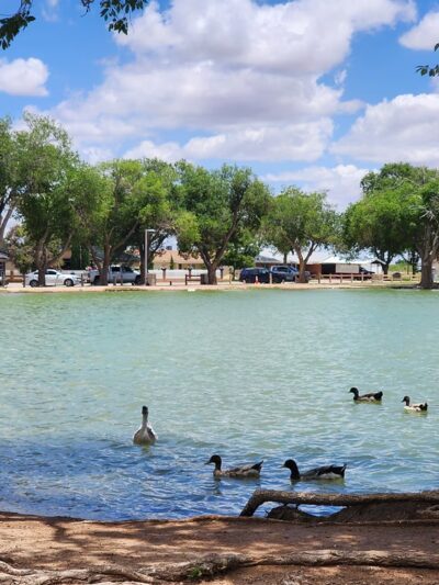 Chaparral Park - Lovington, NM