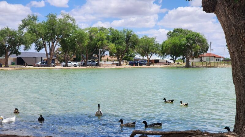 Chaparral Park - Lovington, NM