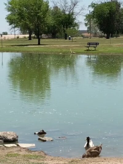 Chaparral Park - Lovington, NM