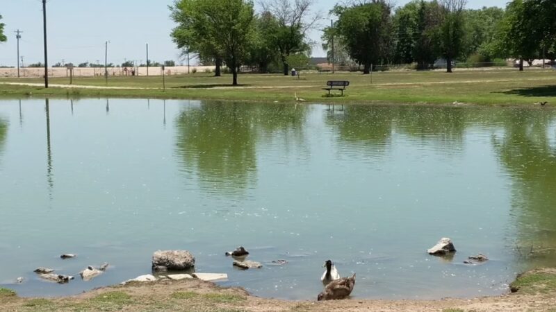 Chaparral Park - Lovington, NM