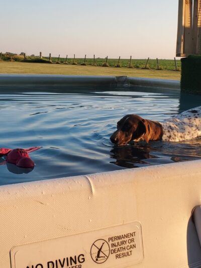 Lucky Dog Acres LLC - Low Moor, IA
