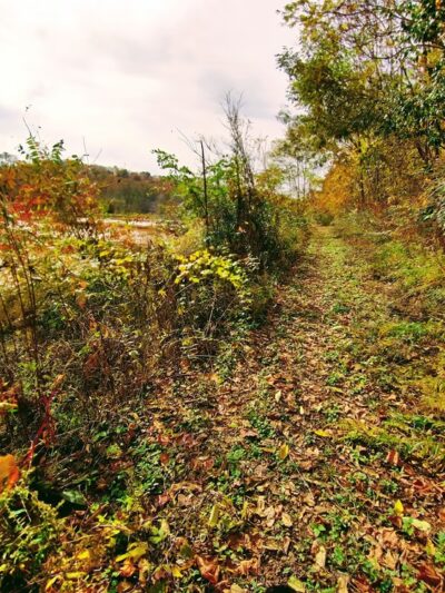 Lowber Project - Lowber, PA