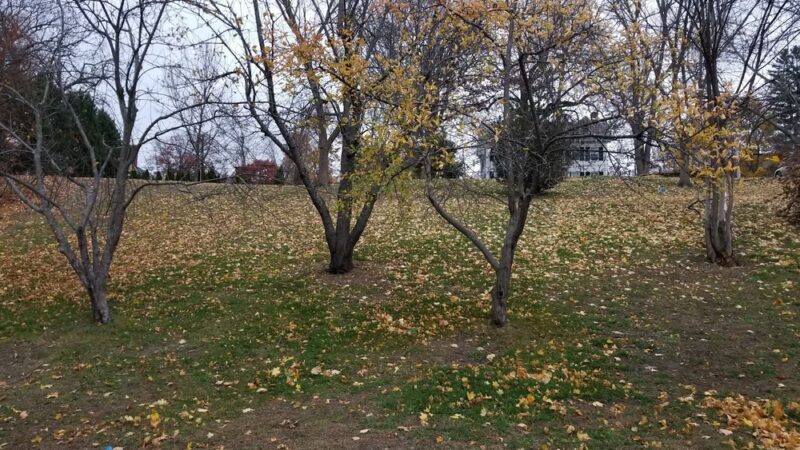 Donahue Park - Lowell, MA