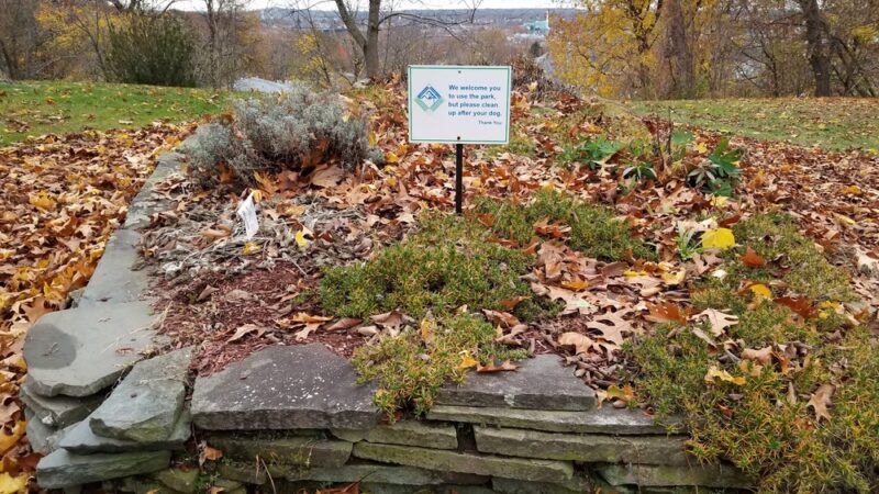 Donahue Park - Lowell, MA