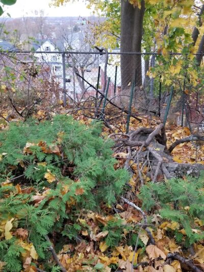 Donahue Park - Lowell, MA