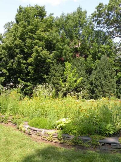 Donahue Park - Lowell, MA