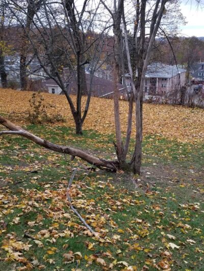 Donahue Park - Lowell, MA
