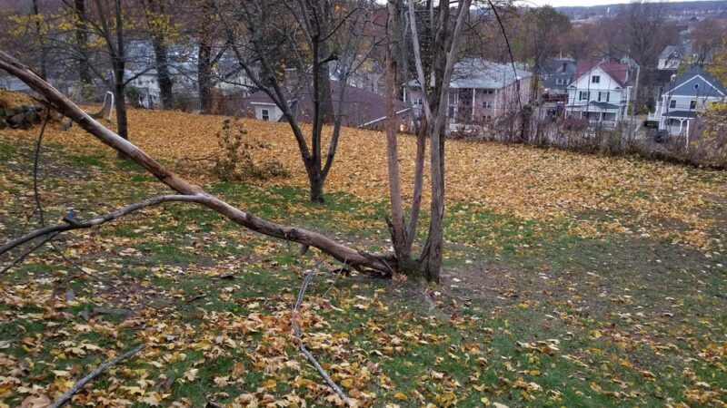 Donahue Park - Lowell, MA