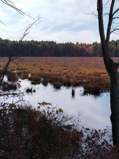 Lowell-Dracut-Tyngsborough State Forest - Lowell, MA