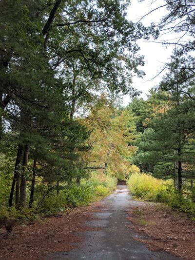 Lowell-Dracut-Tyngsborough State Forest - Lowell, MA