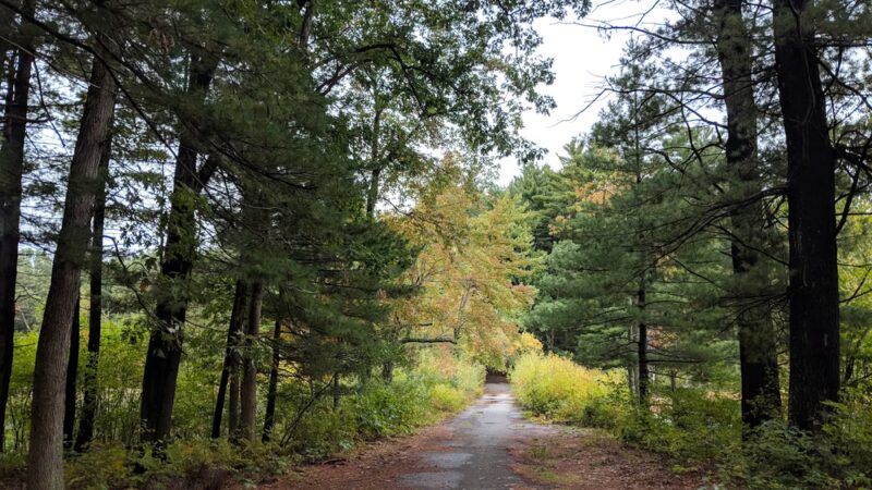 Lowell-Dracut-Tyngsborough State Forest - Lowell, MA