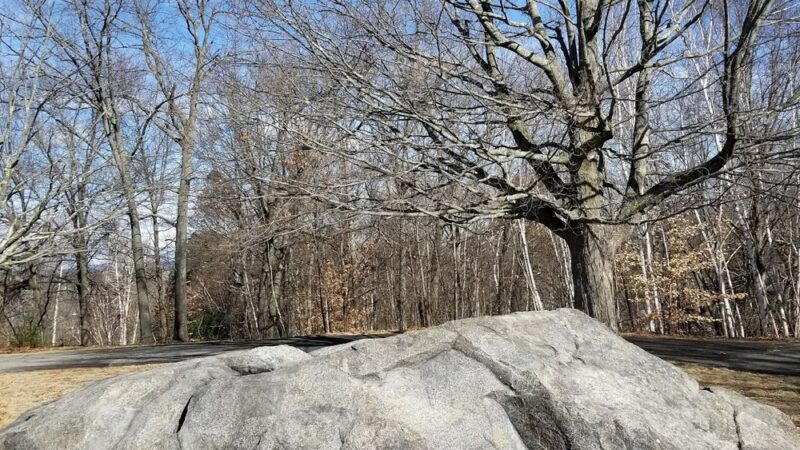 Rogers Fort Hill Park - Lowell, MA