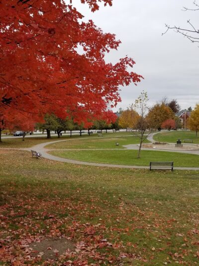 Rogers Fort Hill Park - Lowell, MA