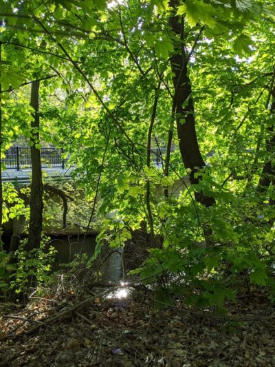 Sweeney Park - Lowell, MA
