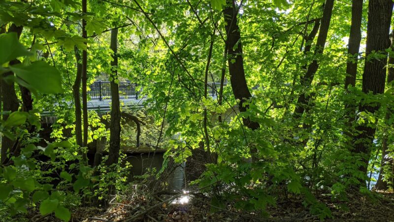 Sweeney Park - Lowell, MA