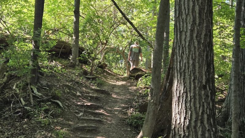 Heckler Plains Nature Trail Trailhead - Lower Salford Township, PA