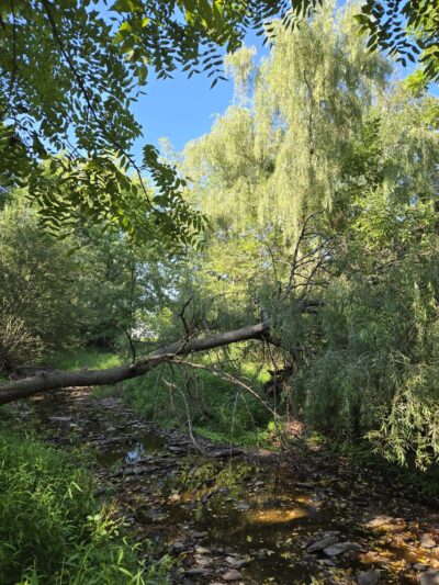 Heckler Plains Nature Trail Trailhead - Lower Salford Township, PA