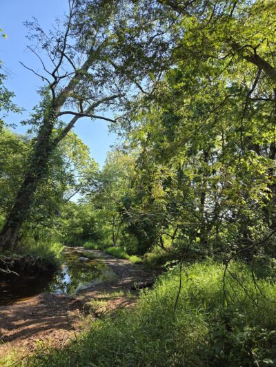 Heckler Plains Nature Trail Trailhead - Lower Salford Township, PA