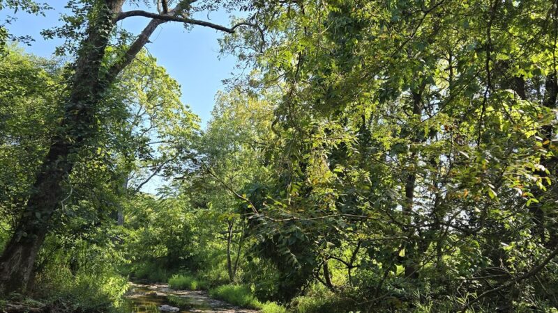 Heckler Plains Nature Trail Trailhead - Lower Salford Township, PA