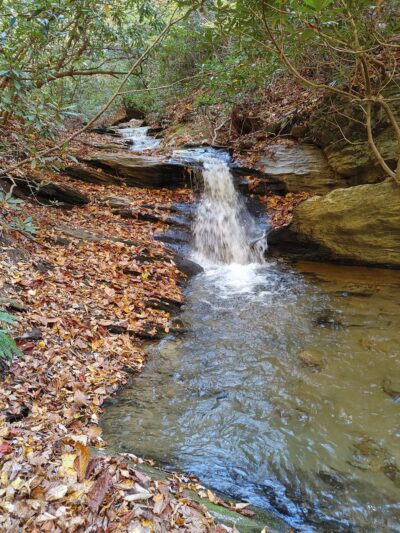 Gully Creek Trail - Lowgap, NC