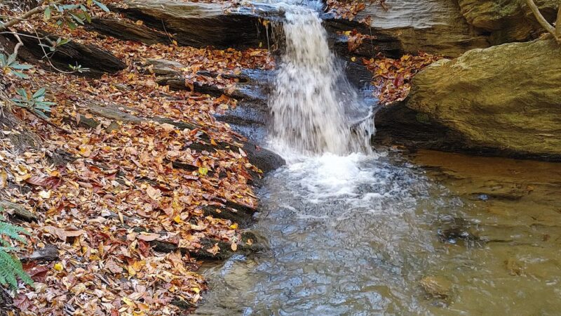 Gully Creek Trail - Lowgap, NC