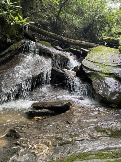 Gully Creek Trail - Lowgap, NC