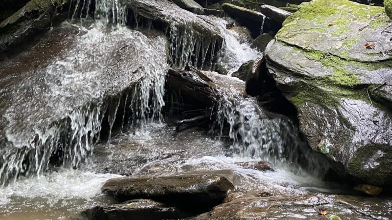 Gully Creek Trail - Lowgap, NC