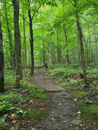 North Rim Trail Head - Lowville, NY