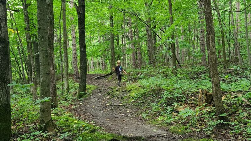 North Rim Trail Head - Lowville, NY