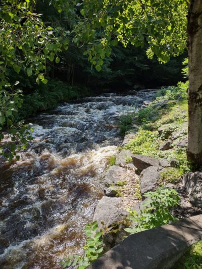 North Rim Trail Head - Lowville, NY