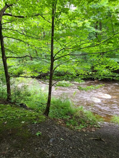 North Rim Trail Head - Lowville, NY