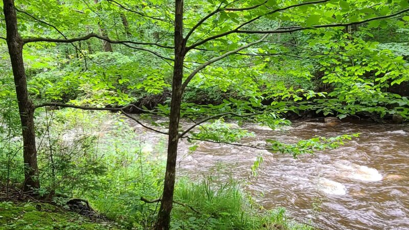 North Rim Trail Head - Lowville, NY