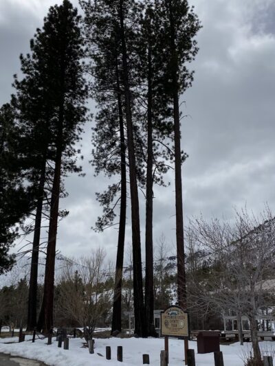 Loyalton Rotary Park - Loyalton, CA