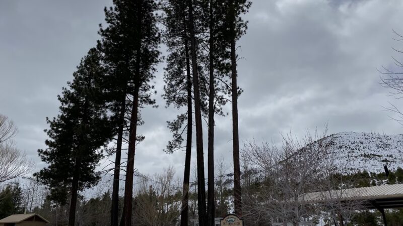 Loyalton Rotary Park - Loyalton, CA
