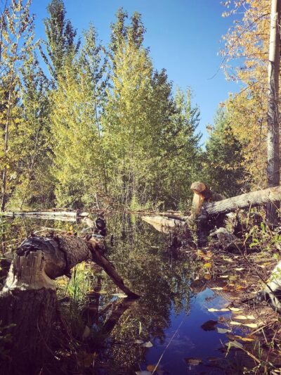 Loyalton Rotary Park - Loyalton, CA