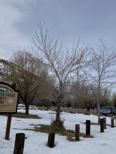 Loyalton Rotary Park - Loyalton, CA