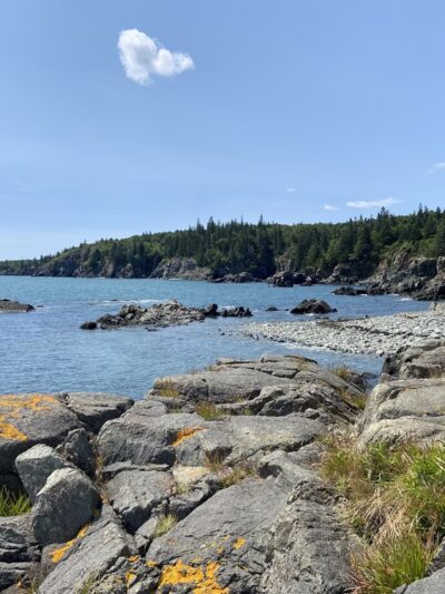 Bog Brook Preserve at Moose Cove - Lubec, ME