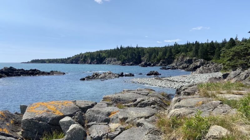 Bog Brook Preserve at Moose Cove - Lubec, ME