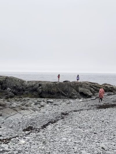 Bog Brook Preserve at Moose Cove - Lubec, ME