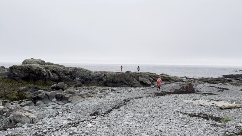 Bog Brook Preserve at Moose Cove - Lubec, ME