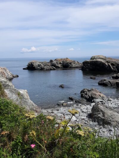 Bog Brook Preserve at Moose Cove - Lubec, ME