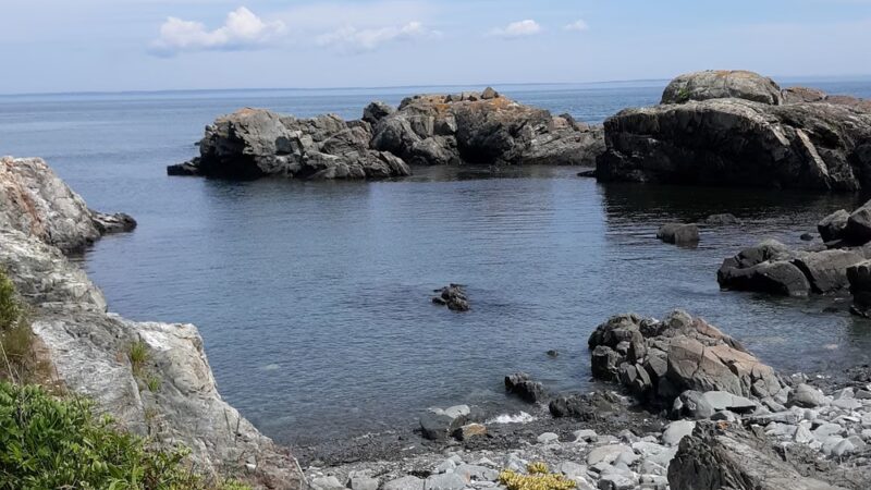 Bog Brook Preserve at Moose Cove - Lubec, ME