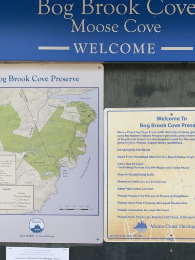 Bog Brook Preserve at Moose Cove - Lubec, ME