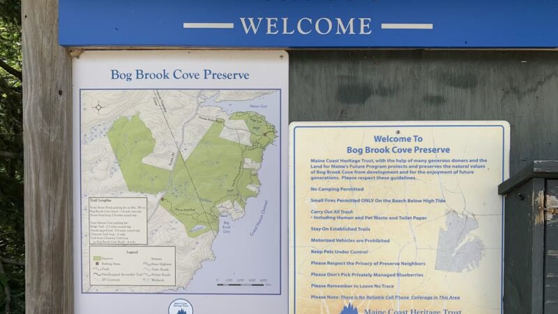 Bog Brook Preserve at Moose Cove - Lubec, ME