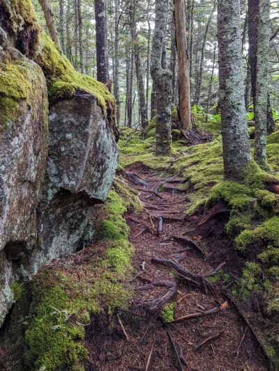 Boot Head Preserve Trailhead - Lubec, ME