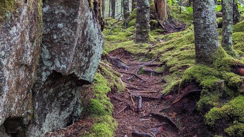 Boot Head Preserve Trailhead - Lubec, ME