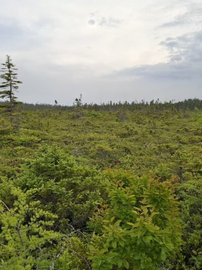 Boot Head Preserve Trailhead - Lubec, ME