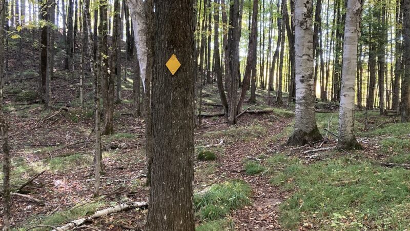 Ice Age Trail - Lake Eleven Segment - Lublin, WI