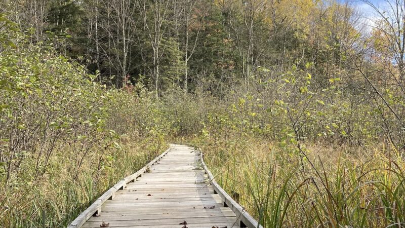 Ice Age Trail - Lake Eleven Segment - Lublin, WI