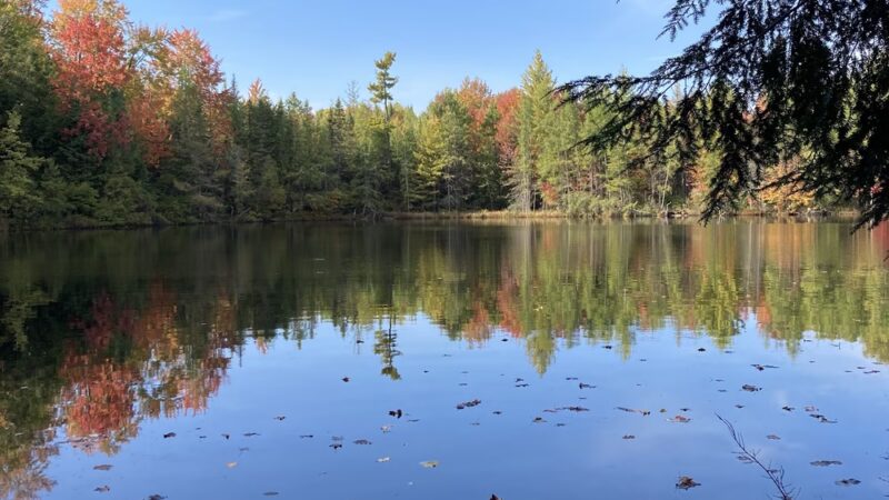 Ice Age Trail - Lake Eleven Segment - Lublin, WI